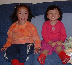 alli_celena_sofa3.jpg